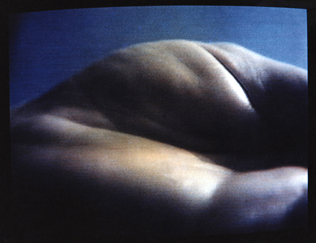 LANDSCAPE, videotape, 6:36, 1983